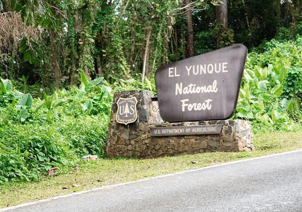 Family Friendly Home With Movie Room On Golf Paradise Rio Grande Puerto Rico